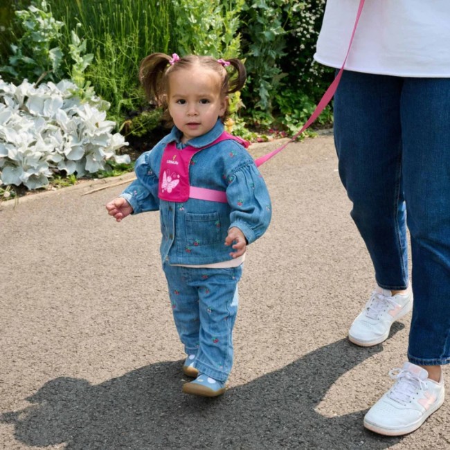 Szelki bezpieczeństwa LittleLife - Motyl