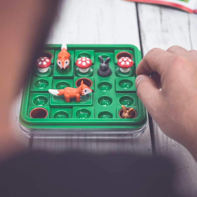 Gra logiczna Smart Games - Hop Do Norki (PL)