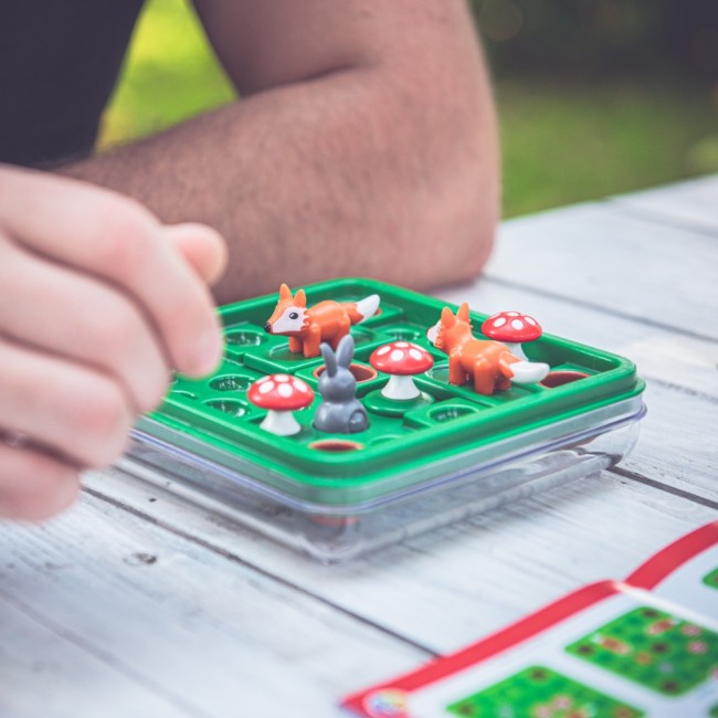 Gra logiczna Smart Games - Hop Do Norki (PL)