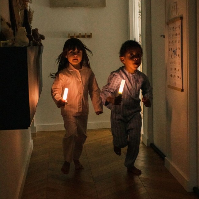 Przenośna lampka Zoo Light The Zoofamily - Lis