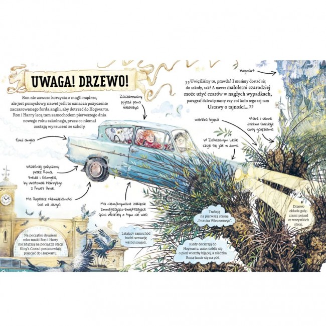 Książka "Ron Weasley. Mały potterownik." Wydawnictwo Media Rodzina