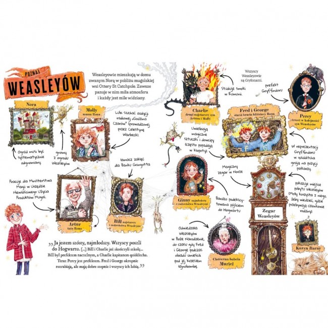 Książka "Ron Weasley. Mały potterownik." Wydawnictwo Media Rodzina