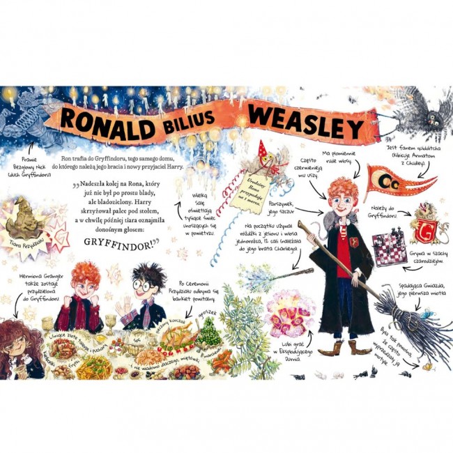 Książka "Ron Weasley. Mały potterownik." Wydawnictwo Media Rodzina