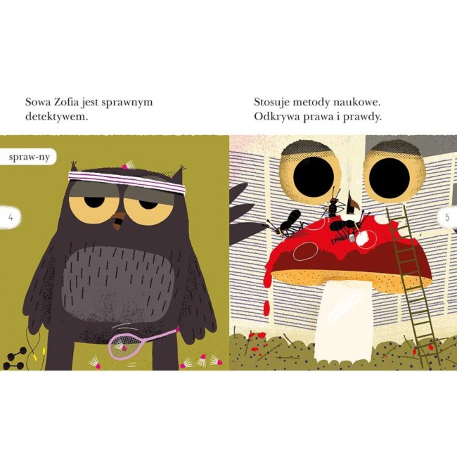Książka "Detektyw Sowa na tropie. Czytam sobie. Poziom 2" Wydawnictwo Harperkids