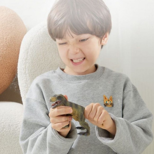 Zestaw 24 figurek dinozaurów w zestawie z przenośnym pudełkiem mideer