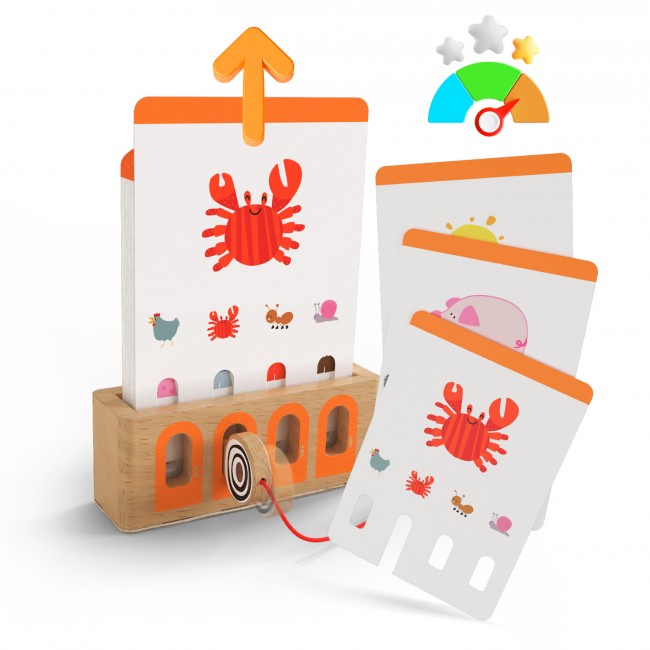 Edukacyjna logiczna gra karciana z kluczem TOPBRIGHT - poziom podstawowy