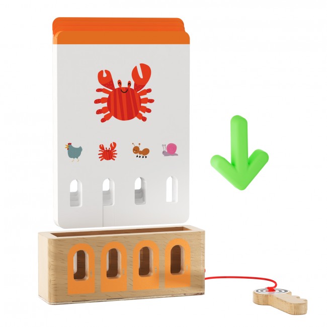 Edukacyjna logiczna gra karciana z kluczem TOPBRIGHT - poziom podstawowy