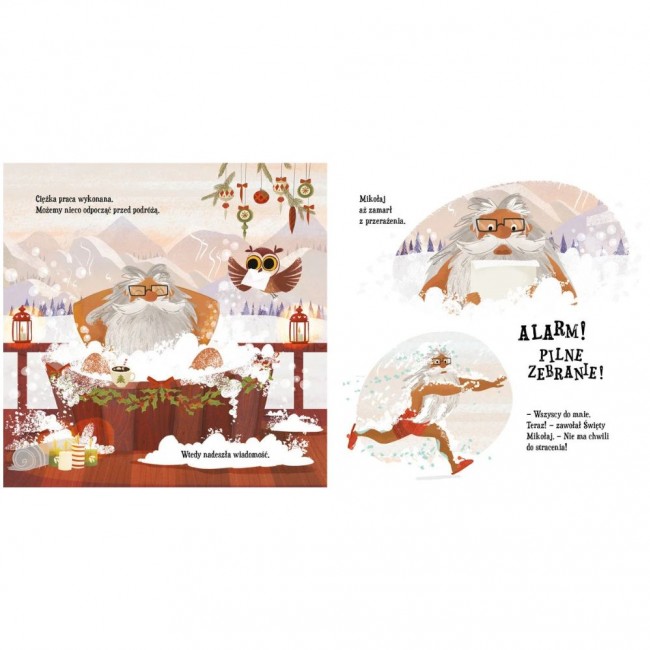 Książka "Reniferki ratują święta" Wydawnictwo Zielona Sowa