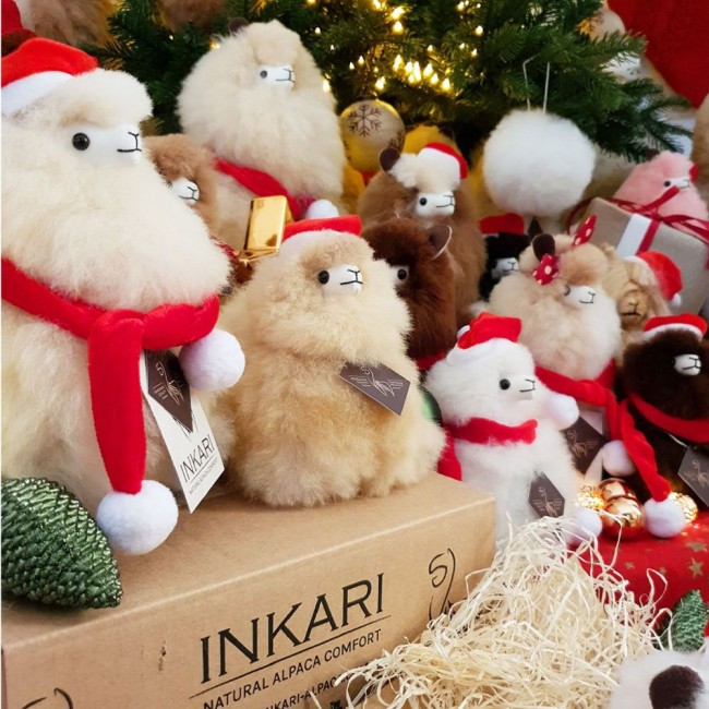 Czapka świętego Mikołaja dla alpaki Inkari