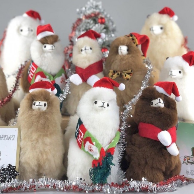 Czapka świętego Mikołaja dla alpaki Inkari