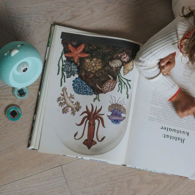 Obrotowy projektor Kidywolf - Ocean