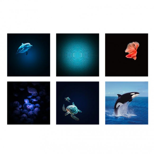 Obrotowy projektor Kidywolf - Ocean