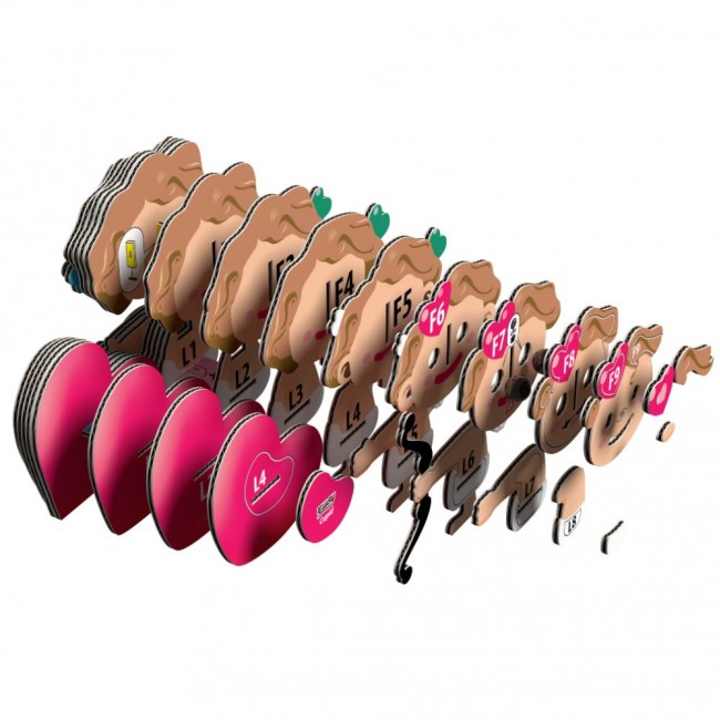 Eko Układanka 3D Eugy - Amorek