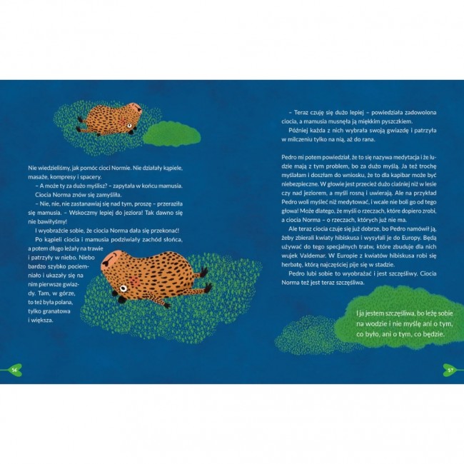 Książka "Kapibara Barbara i karnawał" Wydawnictwo Agora dla dzieci