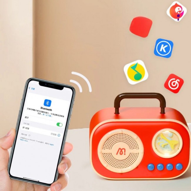 Podwójny zestaw karaoke mideer