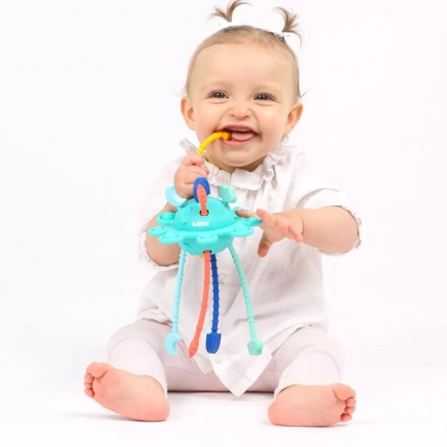 Manipulacyjna zabawka sensoryczna Zippy LUDI