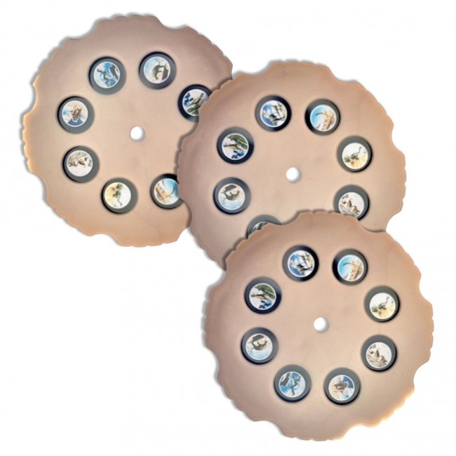 Projektor z wymiennymi dyskami Apli Kids - Dinozaur Velociraptor